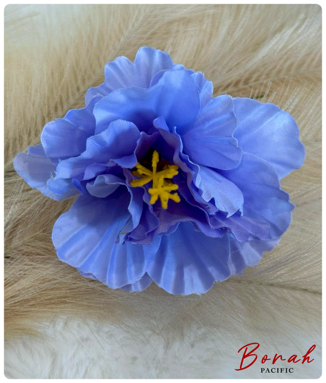 Fluffy Hibiscus Sei (flower)