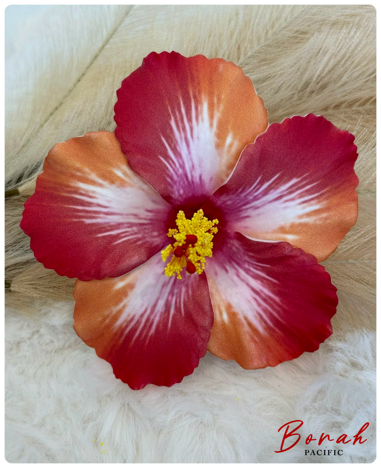 Hibiscus Sei (flower)