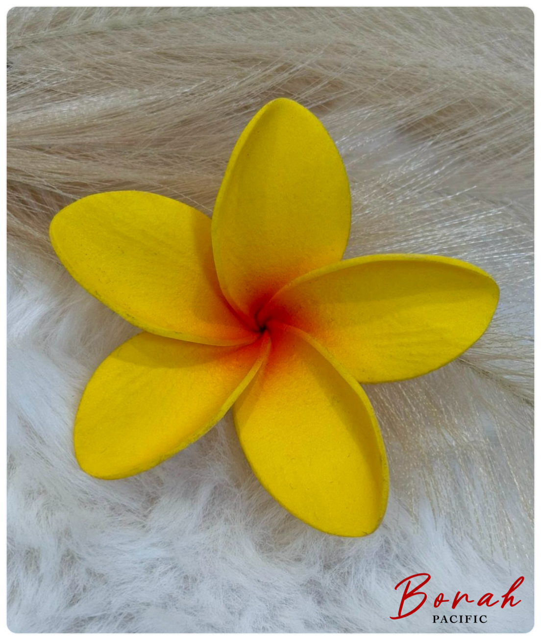 Plumeria Sei (flower)