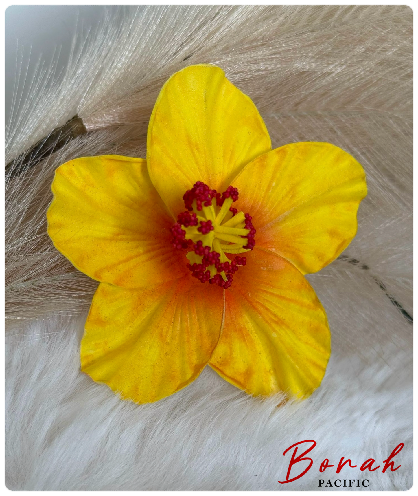 Hibiscus SEI (flower) I
