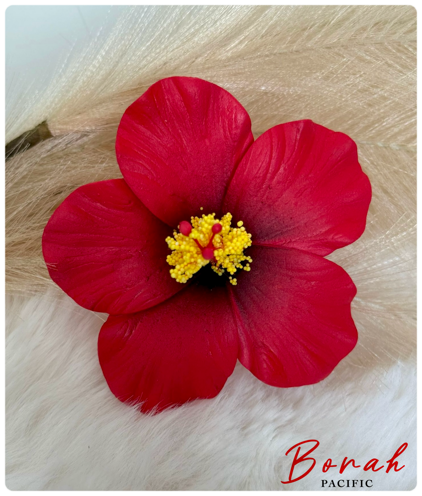 Hibiscus SEI (flower) II