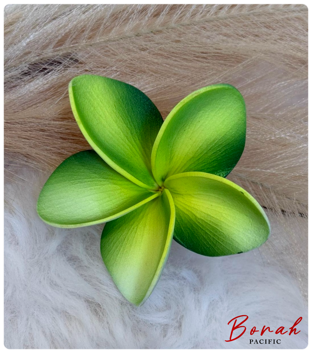 Plumeria Sei (flower)