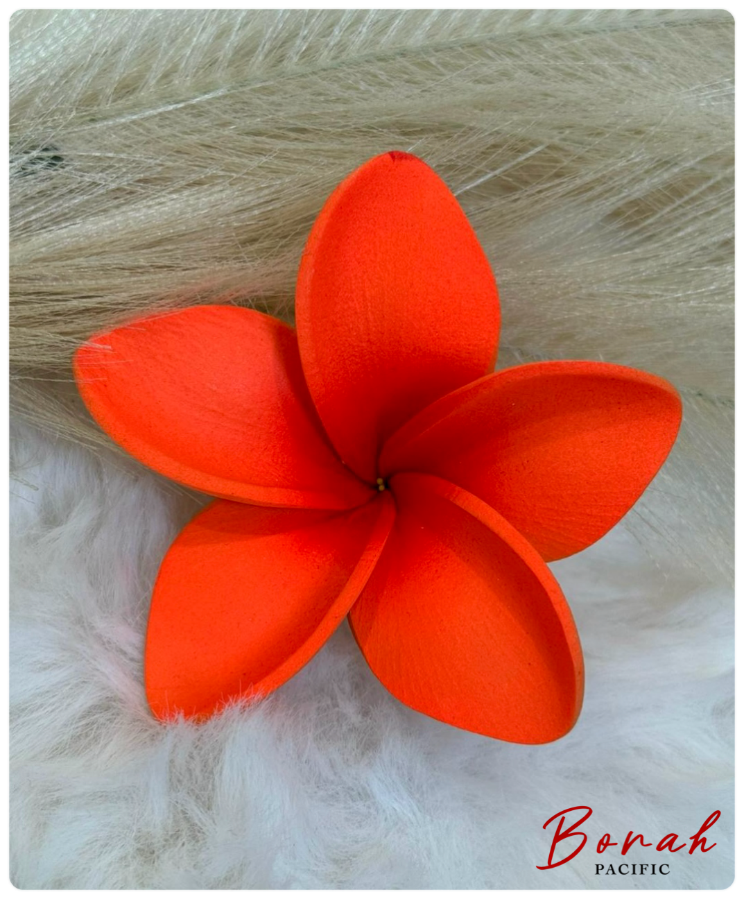 Plumeria Sei (flower)