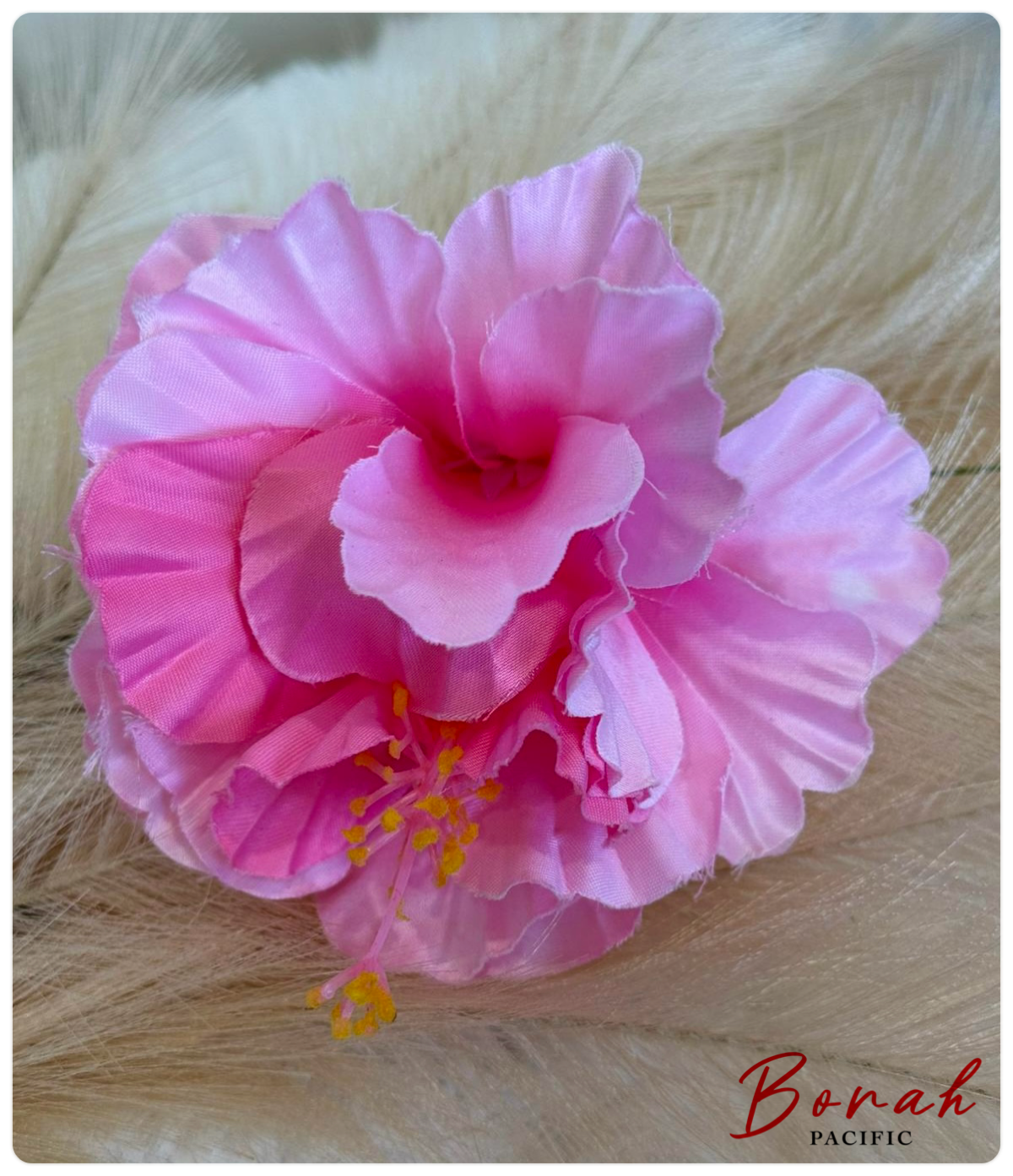 Fluffy Hibiscus Sei (flower)