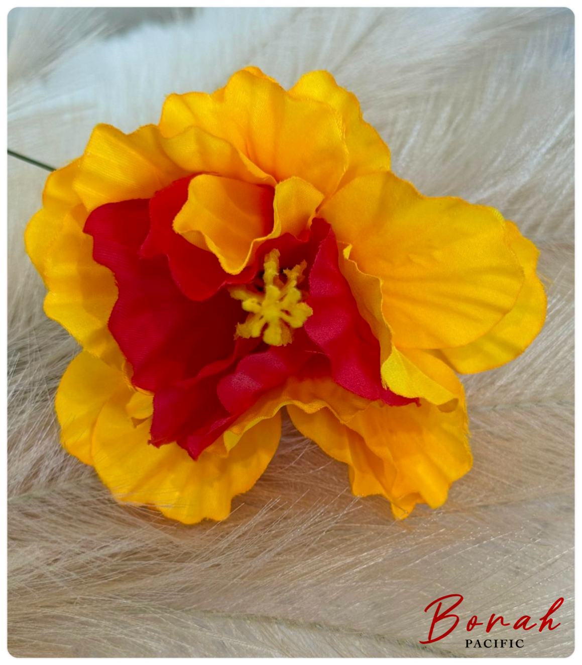 Fluffy Hibiscus Sei (flower)