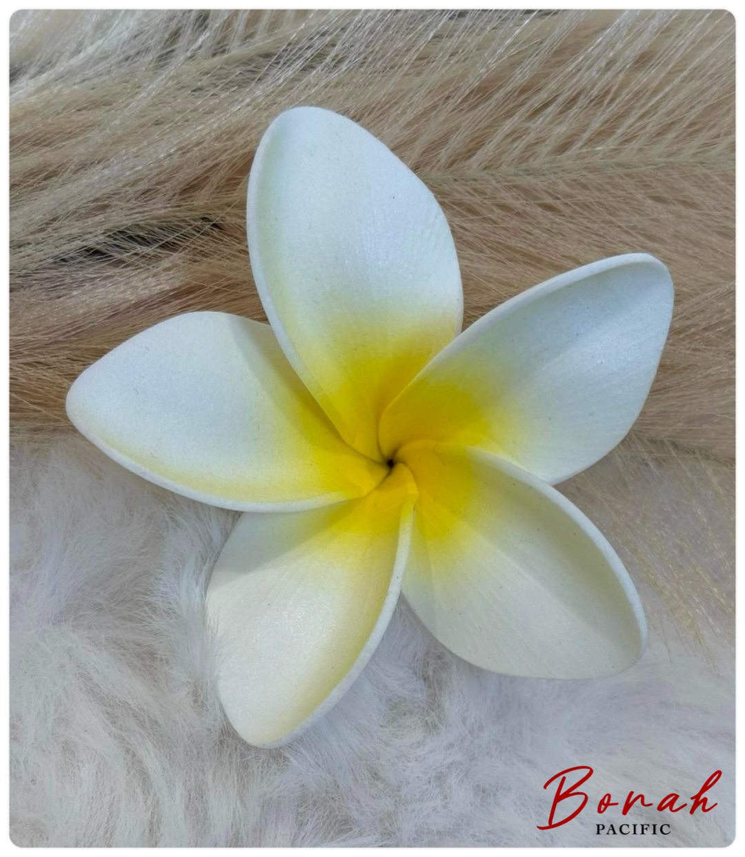 Plumeria Sei (flower)