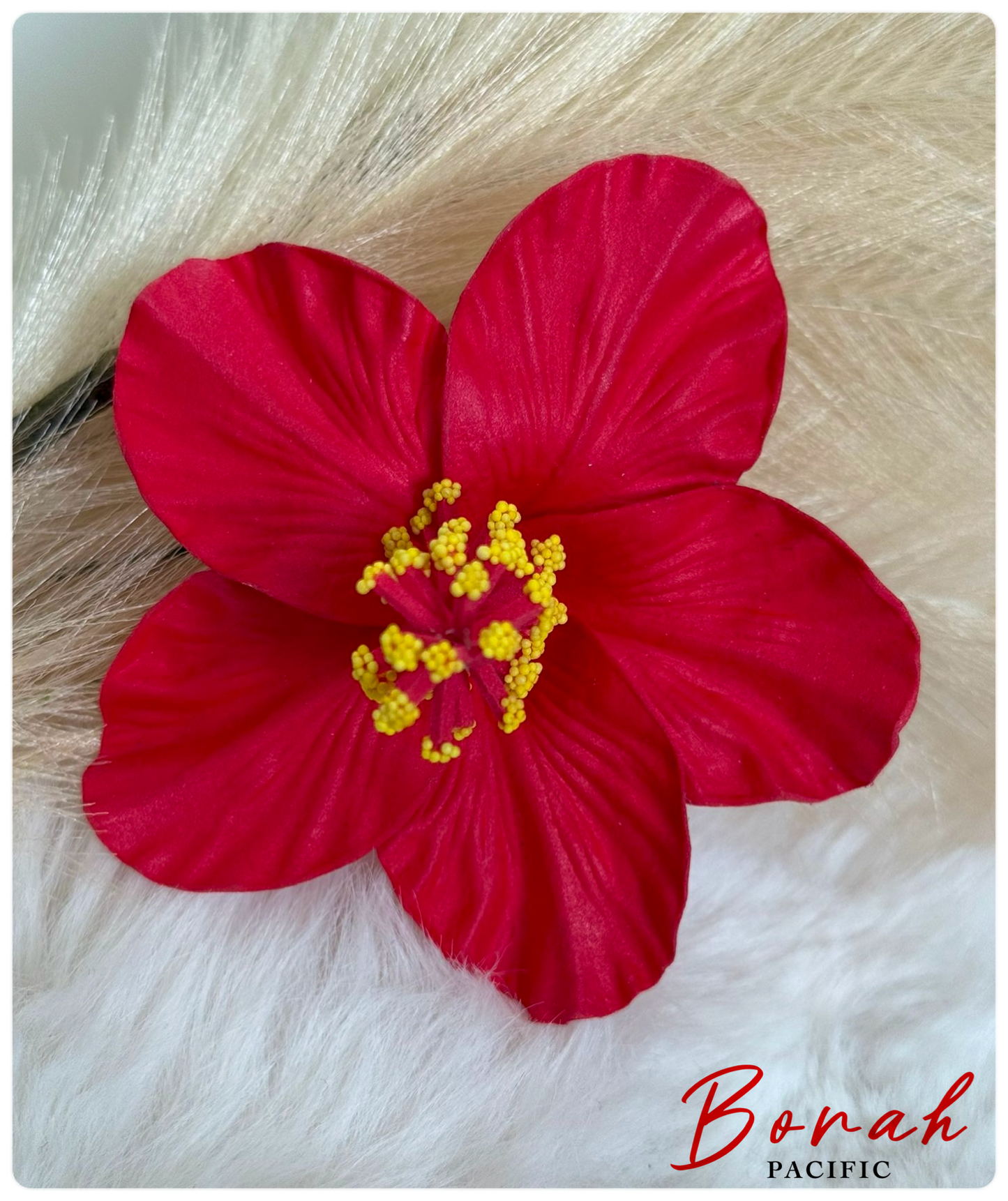 Hibiscus SEI (flower) I